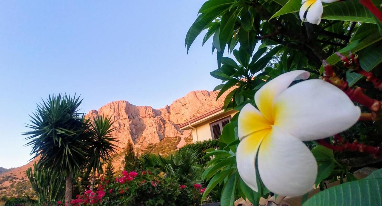 Ciuri ri zagara Bed & Breakfast Cinisi Bagian luar foto